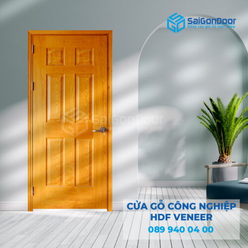 Cửa Gỗ HDF Veneer 6A ASH-SGD